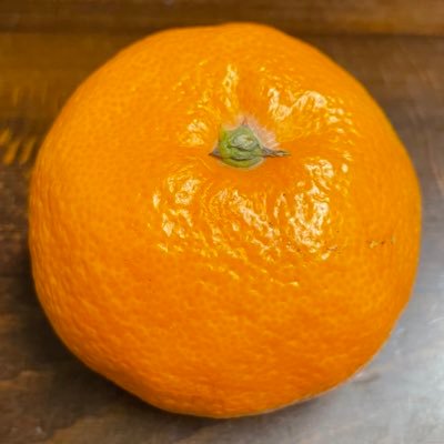 2021chihiro's profile picture. 