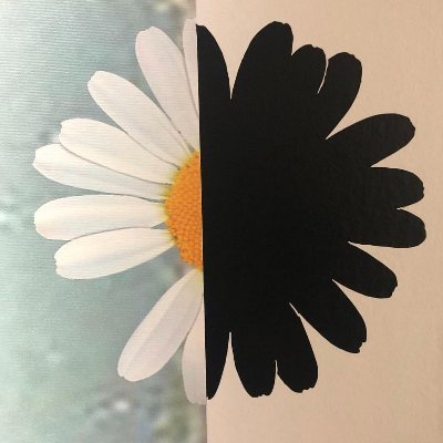 sirogg's profile picture. introvert. mom of 2. part-time doctor.