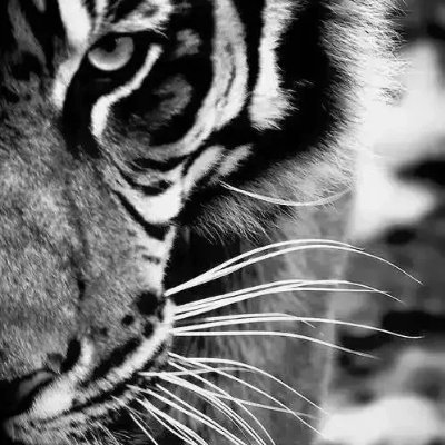 noseongmin9's profile picture. https://t.co/xSHl4UVN1W