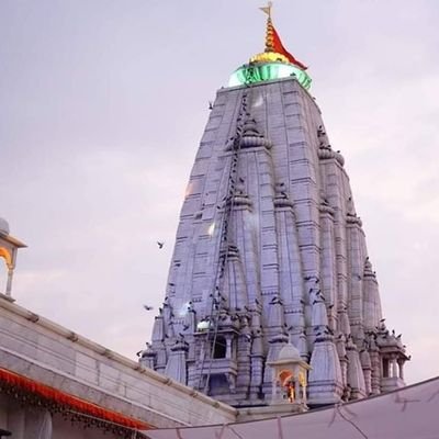 moly823's profile picture. 