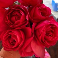 Susan Skrypnyk (@skrypnyk1) 's Twitter Profile