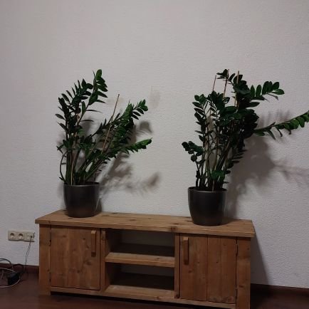 RezCohan's profile picture. Slouw