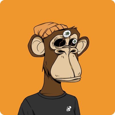 C1HKevin's profile picture. BAYC #5005 | NFT Collector