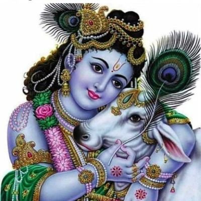 UmaD56524183's profile picture. 