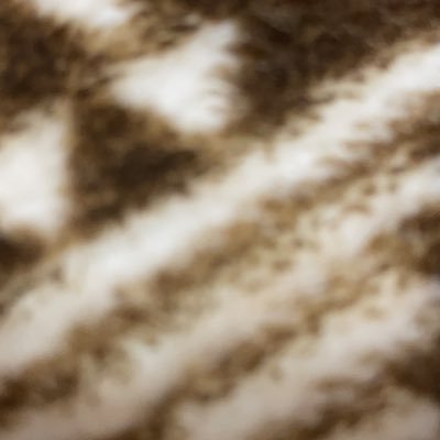 giocoso_perry's profile picture. 