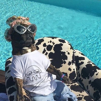 Zach518092892's profile picture. Personal Amusement Manager. AKA PAMMMM