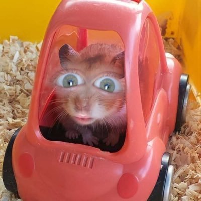 kuxsaa's profile picture. @playrust