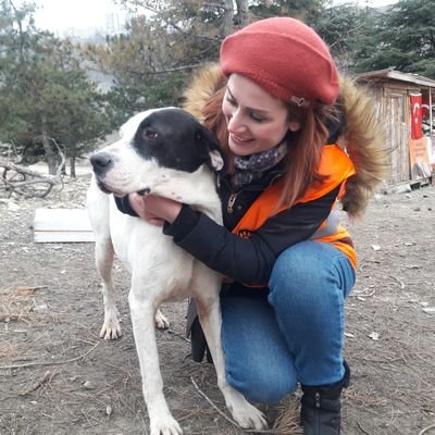 teahcer1's profile picture. 