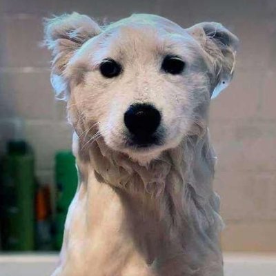 CINDYPREVOST1's profile picture. 