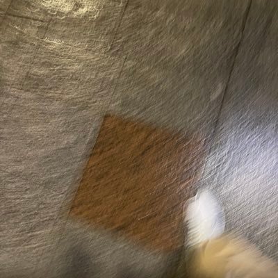 pepita_1608's profile picture. Hd