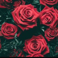 تهاني آل ابراهيم .. (@nony2010711) 's Twitter Profile
