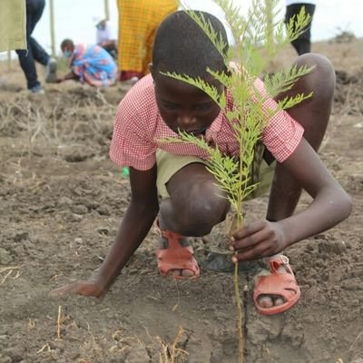 CLIMATE SHAPER ,Founder.Greenfamilyregeneration#greenfamily initiative. landscape Consultant. Climate psychology #carboncreditsforTrees #GenerationRestoration