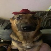 ExerGN is my duo (@drperkyr6s) 's Twitter Profile Photo