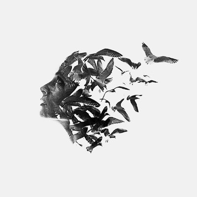 Truth Seeker
Awakening the Mind
Freeing the Soul
Leaving all illusions behind...
Love is the Doorway...
True Love is the Key...
Namaste.