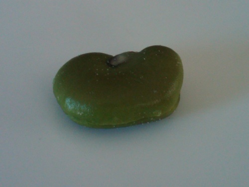 favabean's profile picture. a progressive, vegan, atheist, animal-rights force & quintessential misanthrope...but one who does find joy in that which is fluffy & that which is chocolate.