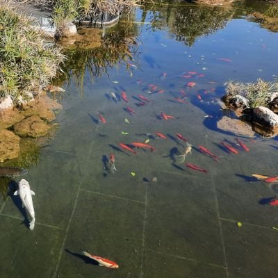 IdanAvni_'s profile picture. 2006 TIME Person of the Year | Opinions are my own | 🇮🇱