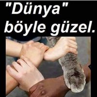 İzmir Hayvan Hakları Platformu (@izmirhayvan) Twitter profile photo