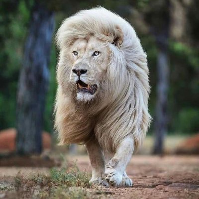 ayoola_roberts's profile picture. I love being Happy always👍👍🌝