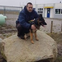 Bertus De Jong (@bertusdejong3) 's Twitter Profile