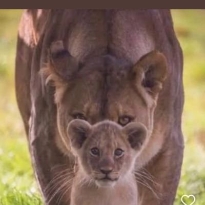 Someone90073054's profile picture. You get what you fight for, not what you wish for.