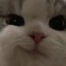 twinkatron3000 (@yayukoo) Twitter profile photo twinkatron3000 (@yayukoo) Twitter profile photo