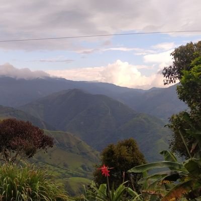 JaramilloIta's profile picture. 