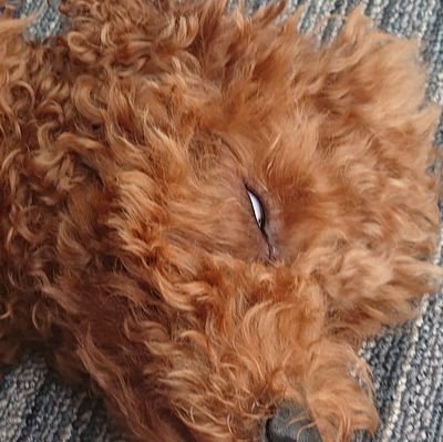 OoOscas1cdaJLC1's profile picture. 1980年産まれFX初心者！3年ほどやってますけど増えも減りもあまりせず！とりあえずこのままのんびり勉強しながら継続😁いつか仕事辞めれるぐらい稼げるようにならないかな🥴