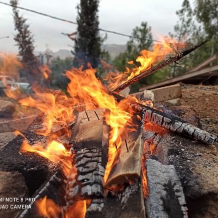 Rekan36574922's profile picture. 