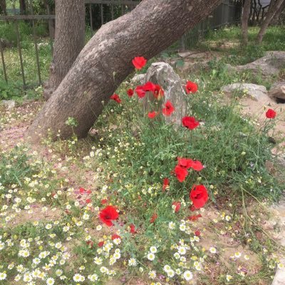 juliamoraiti1's profile picture. 