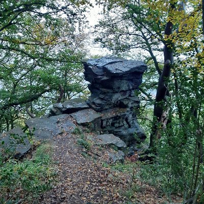 #Dunkelfeldmikroskop
#Phytotechnologie
Ausbildung zur 💐Streichlerin
find -Gleichgesinnte (