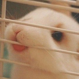 도인さんのプロフィール画像