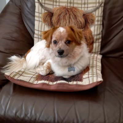 G1Mooney's profile picture. My name is Forpz- Currently grinding for Team Divison 7 also Known as team D7