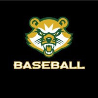 St. Vincent College Baseball(@BaseballSVC) 's Twitter Profileg