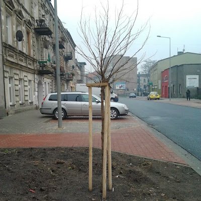 Charakter przez samo H. Godność i honor. Nadwrażliwość. Potrafię obejrzeć kabaret ale wolę bajki o zwierzętach. Mam tak jak i mój Kraj Godność i siłę.Pozdrawiam