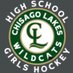 CL Girls HS Hockey (@clgirlshshockey) Twitter profile photo CL Girls HS Hockey (@clgirlshshockey) Twitter profile photo
