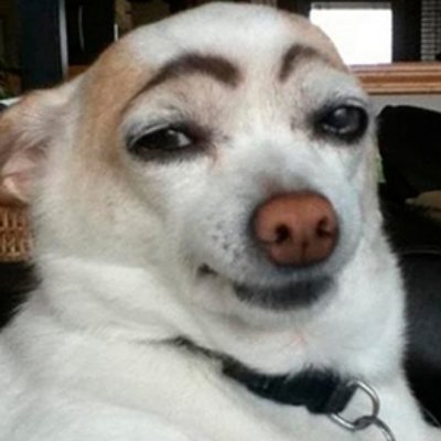 SAVEROBLOX1122's profile picture. tôi thích roblox nên tạo tk thế thôi