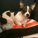 Nicole Larimer - @zombiegirl32 - Twitter