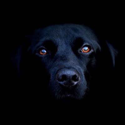 makismith's profile picture. Everyday love★ Love Everyday