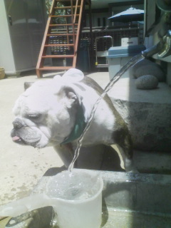 loderunner58's profile picture. 