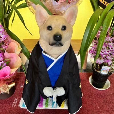 ハート動物病院さんのプロフィール画像