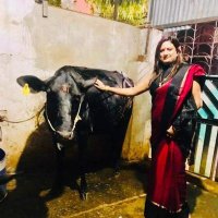 Vijyalaxmi Chauhan (मोदी जी का परिवार)(@Vijyalaxmiadvo) 's Twitter Profile Photo