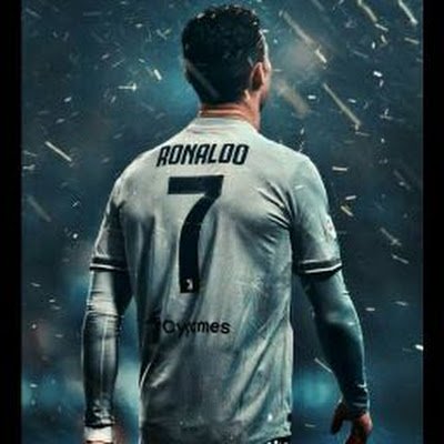 Q86636493's profile picture. 