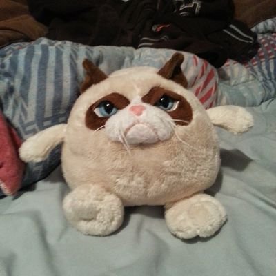 MrGrumpyboi's profile picture. hi I'm Mr.Grumpy a cat of many cultures