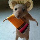 Tylor Johnson - @Ty_Jo1 - Twitter