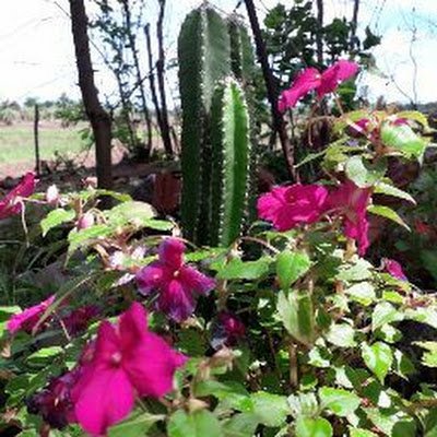 MgdsKumara's profile picture. Sampath kumara