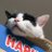 yo0718chan
