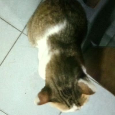 Solomon02932094's profile picture. #5ireTestnet
#MintSquare
#SuiGlobalOg
#zkApes
Moon

(💙,🧡)