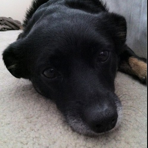 keenak's profile picture. 