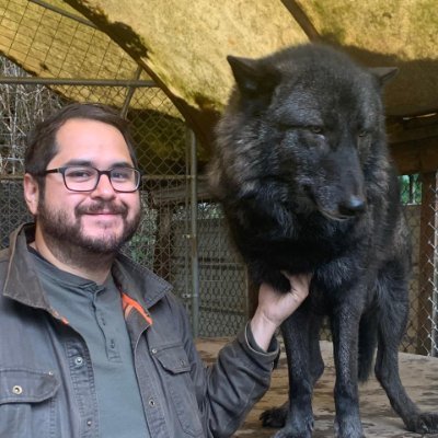 Film programmer/writer/werewolf evangelist. A prolific author of Fletch fan-fiction. Read WHERE WOLF at @EnPocalypsePub. rob@wherewolfcomic.com