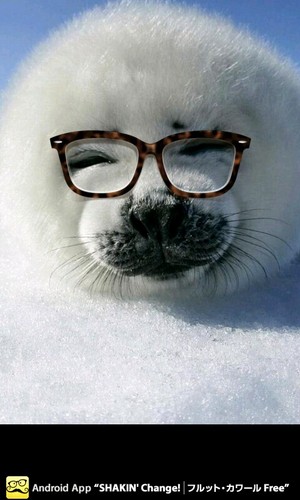 Aaron2312's profile picture. Life is either a daring adventure or nothing.. --Helen Keller--